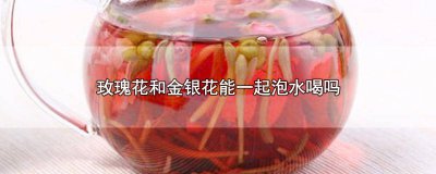 ​玫瑰花和金银花能一起泡水喝吗? 玫瑰花和金银花能一起泡水喝吗功效