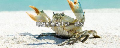 ​螃蟹与鱼可以一起吃吗 螃蟹可以跟鱼一起吃吗