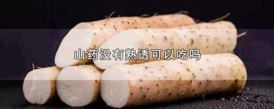 ​山药没完全熟能吃吗有毒吗 山药没完全熟能吃吗会中毒吗