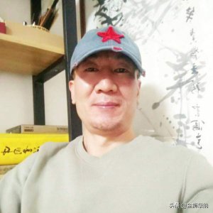 ​杨斐伊个人资料 杨飞国画