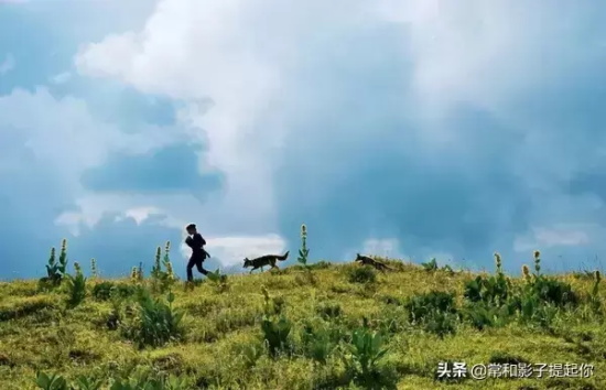 风景美如画的电影有哪些（8部美如画的电影推荐）