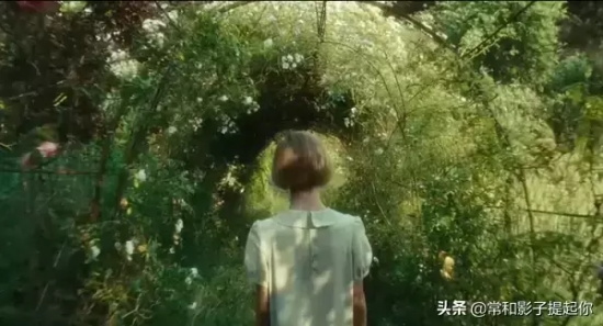 风景美如画的电影有哪些（8部美如画的电影推荐）
