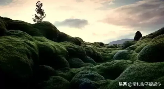风景美如画的电影有哪些（8部美如画的电影推荐）