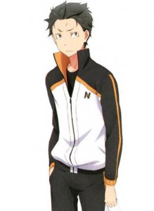 ​菜月昴动漫人物介绍