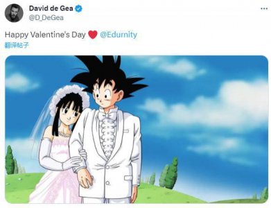 ​老二次元的表白！德赫亚发孙悟空&琪琪结婚照@妻子：情人节快乐