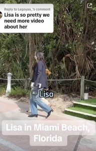 ​Lisa与LV三公子海滩度假被偶遇 男方二哥二嫂同行