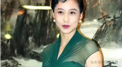 ​利智：嫁给李连杰才是心碎的开始，婆婆至死都没有原谅她