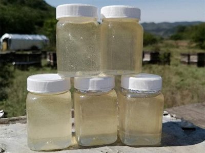 ​什么酒和桂花酒差不多(桂花酒用什么酒)