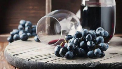 ​葡萄酒什么季节做最好(做葡萄酒用什么糖最好)
