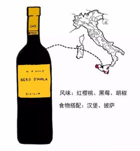​tonegro葡萄酒(toroso葡萄酒)