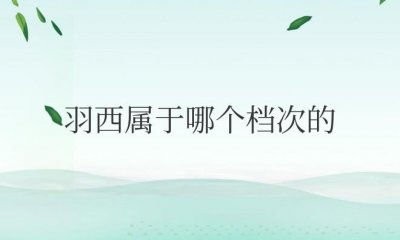 ​羽西属于哪个档次的（羽西化妆品是哪个国家的品牌）