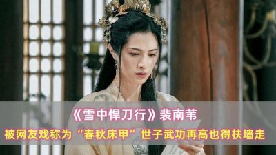 ​《雪中悍刀行》裴南苇：被戏称为春秋床甲，世子武功高也得扶墙走