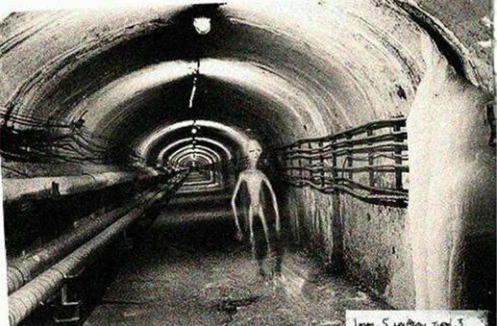 1971年轰动一时的道西事件，外星人与美方交火，是真的吗？