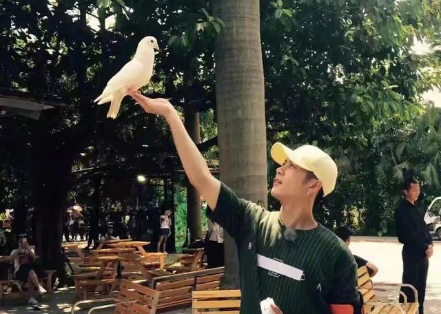白敬亭和王嘉尔每次两人碰上，都会做出一些让人捧腹大笑的事情！