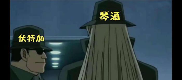 柯南中的黑衣组织究竟有什么目的? 最终任务又是什么? 统治世界?