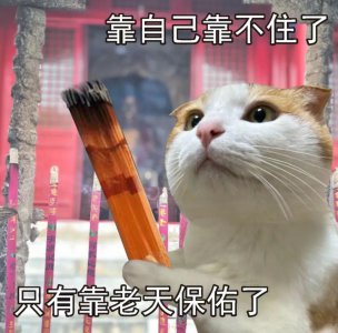 ​万茜：一款新型全自动挨骂机器人