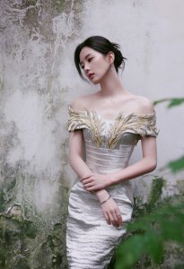 ​刘诗诗穿鎏金刺绣长裙 盘发而立书香气十足