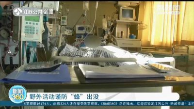 ​90后宝妈摘栗子碰到马蜂窝 全身被蜇了70多口, 不幸身亡