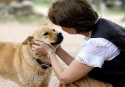 ​博美犬初到家腹泻？博美犬腹泻的应对策略