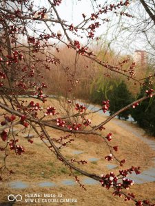 ​中国石都酒价格是多少(中国酒都石刻)