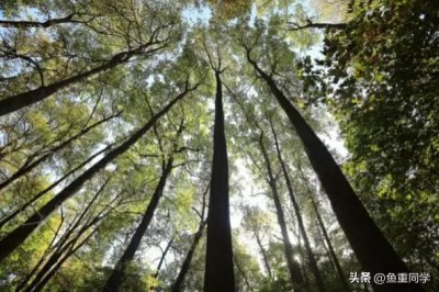 ​农历八月二十六将至，你知道是什么日子吗？老祖宗的谚语怎么说