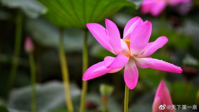 ​多元化到底是怎么回事？你知道吗？