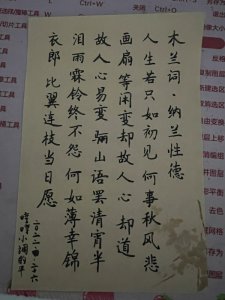 ​写一手漂亮字，打卡第3天