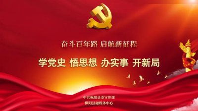 ​刚刚宣布！枞阳县委县政府主要负责同志职务调整