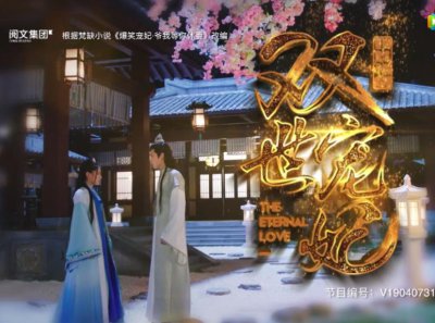 ​可媲美当年太子妃升职记的电视剧，小说党有福了
