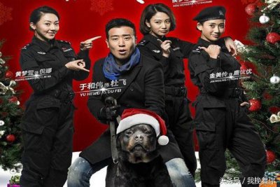 ​能让你记住的两部关于警犬的电视剧