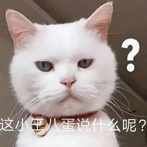 ​养猫的7大“危害”，看完还敢养的都是真爱