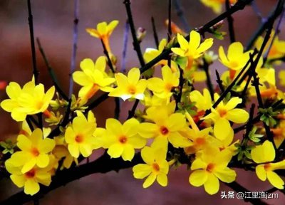 ​聊聊＂人的格局＂