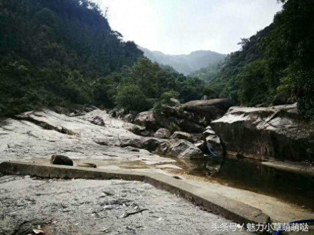 粤中第一高峰：佛冈观音山