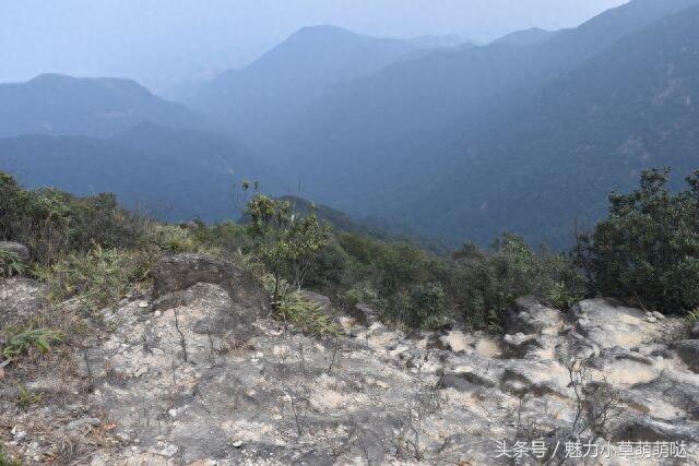 粤中第一高峰：佛冈观音山