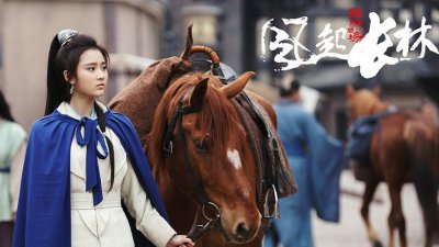 ​琅琊榜2中的林奚是谁呢，有没有可能是梅长苏的后代