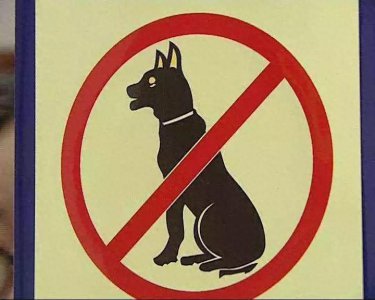 ​最新“禁养犬”名单出炉！别傻傻不知道，养了可能违法