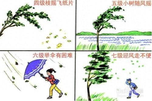 以前小学课本上曾经学习过的风力歌，快看看吧！