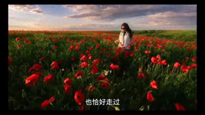​「情感故事」写一个女人的爱情故事