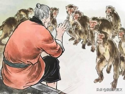 ​经典文言文赏析 - 楚人养狙