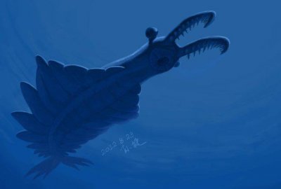 ​史前海洋霸主排行榜，榜首原来是它