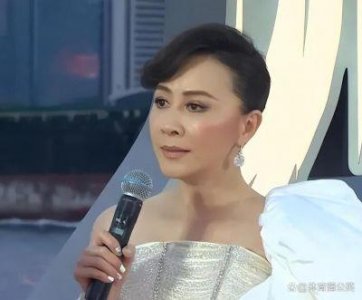 ​东京电影节红毯：明星风采与黄晓明假发争议解析