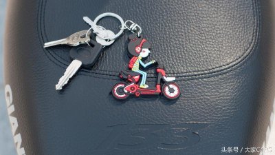 ​生活就该如此简单-点评捷安特133电动车