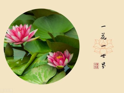 ​佛说：众生平等，只因每个人的选择不同，才有了不同的人生