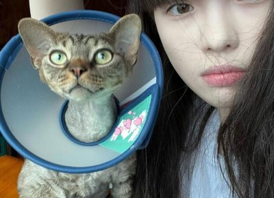 ​离婚，没有孩子，财产要怎么分