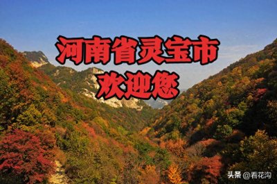 ​251.河南省灵宝市的概况