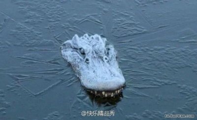 ​我觉得杨涵爸爸在其他群一定很受欢迎
