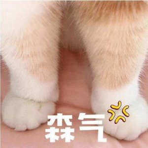 ​生气还很萌的表情包合集