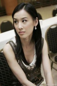 ​杨子与黄圣依关系探究：仅持两家公司股份，节目停播近5个月