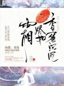 ​推荐几本电线小说，经典的有香蜜沉沉烬如霜