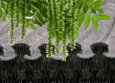 ​今天九月初四，“不怕初四晴，就怕初四雨”这句农谚啥意思呢？
